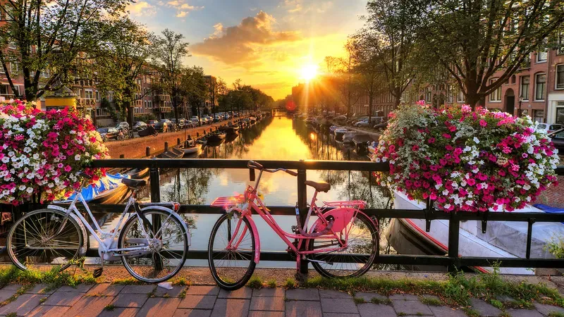 ✈️ The Best UK Student Travel Deals — Why Cheap Student Flights Has Your Back